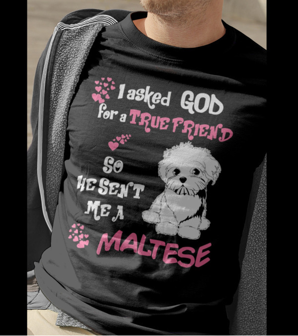 I Asked God For A True Friend So He Sent Me A Maltese T-Shirt
