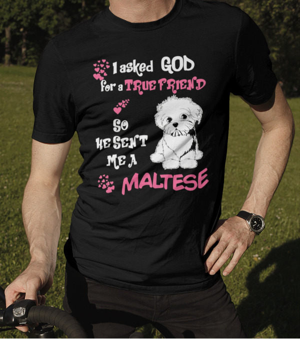 I Asked God For A True Friend So He Sent Me A Maltese T-Shirt