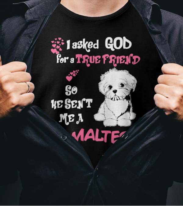 I Asked God For A True Friend So He Sent Me A Maltese T-Shirt