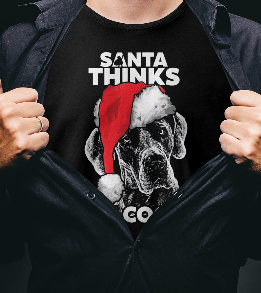 Santa Thinks I'm Cool Great Dane T-Shirt