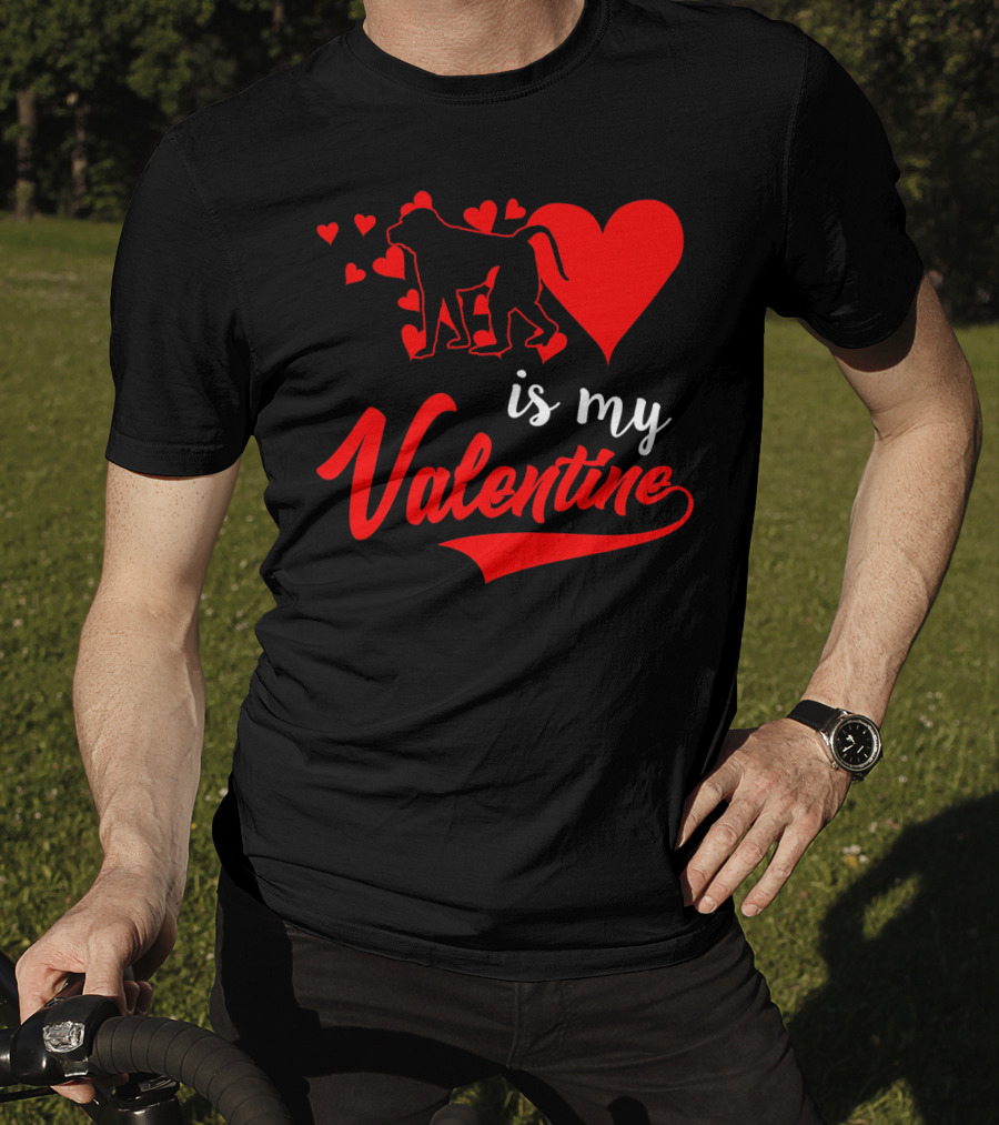 Baboon Love Heart Is My Valentine T-Shirt