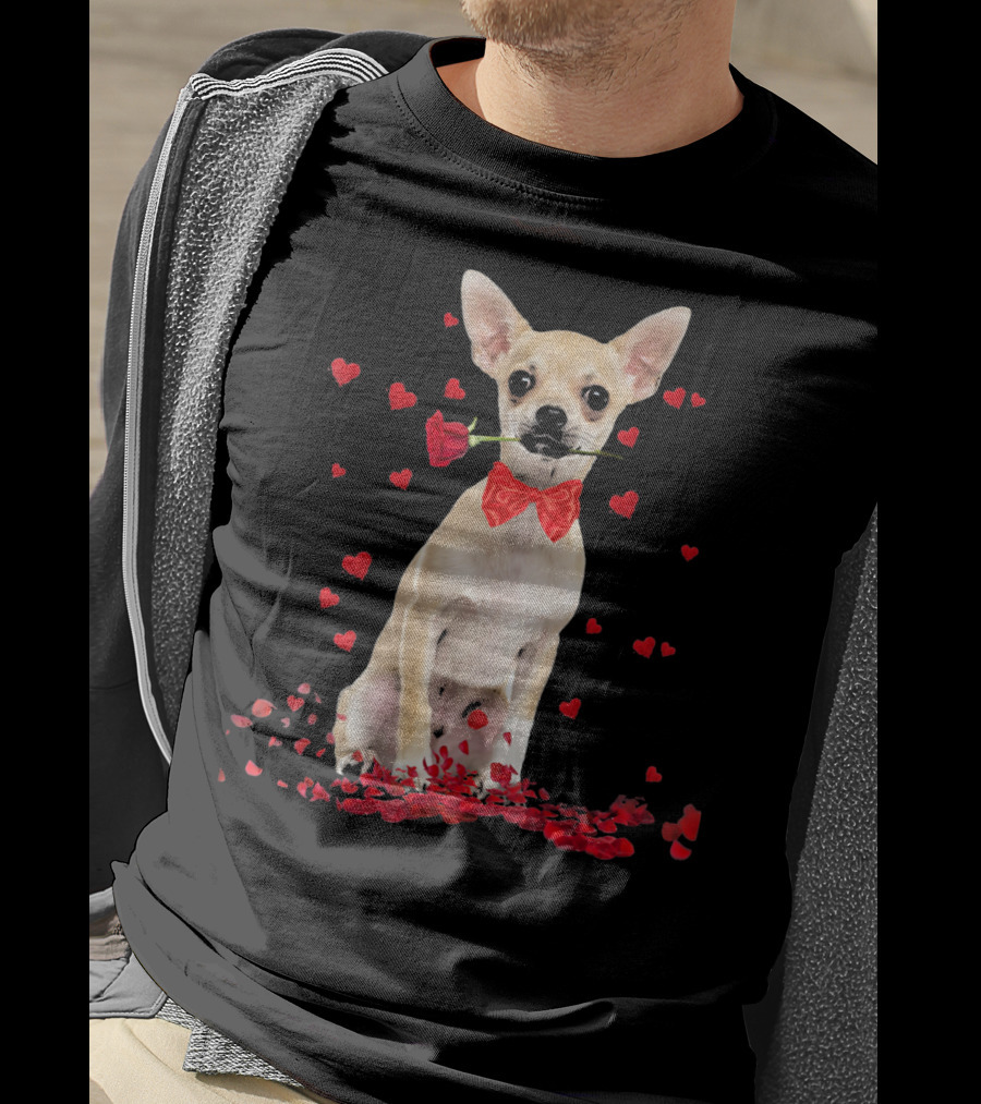 Chihuahua Valentine's Day Rose And Hearts T-Shirt
