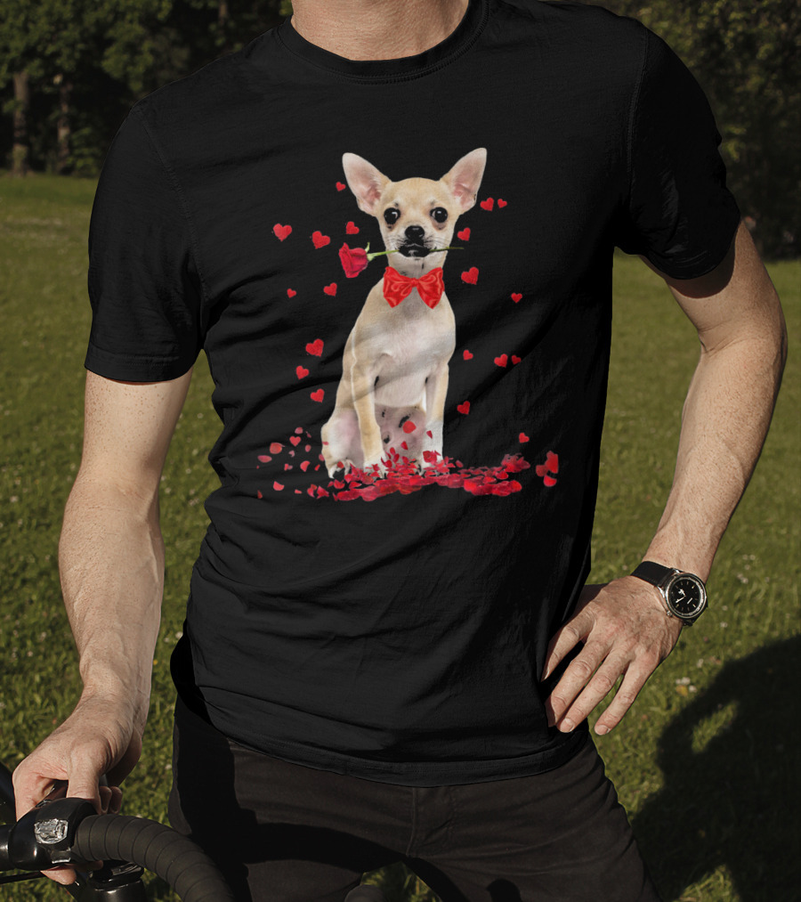Chihuahua Valentine's Day Rose And Hearts T-Shirt