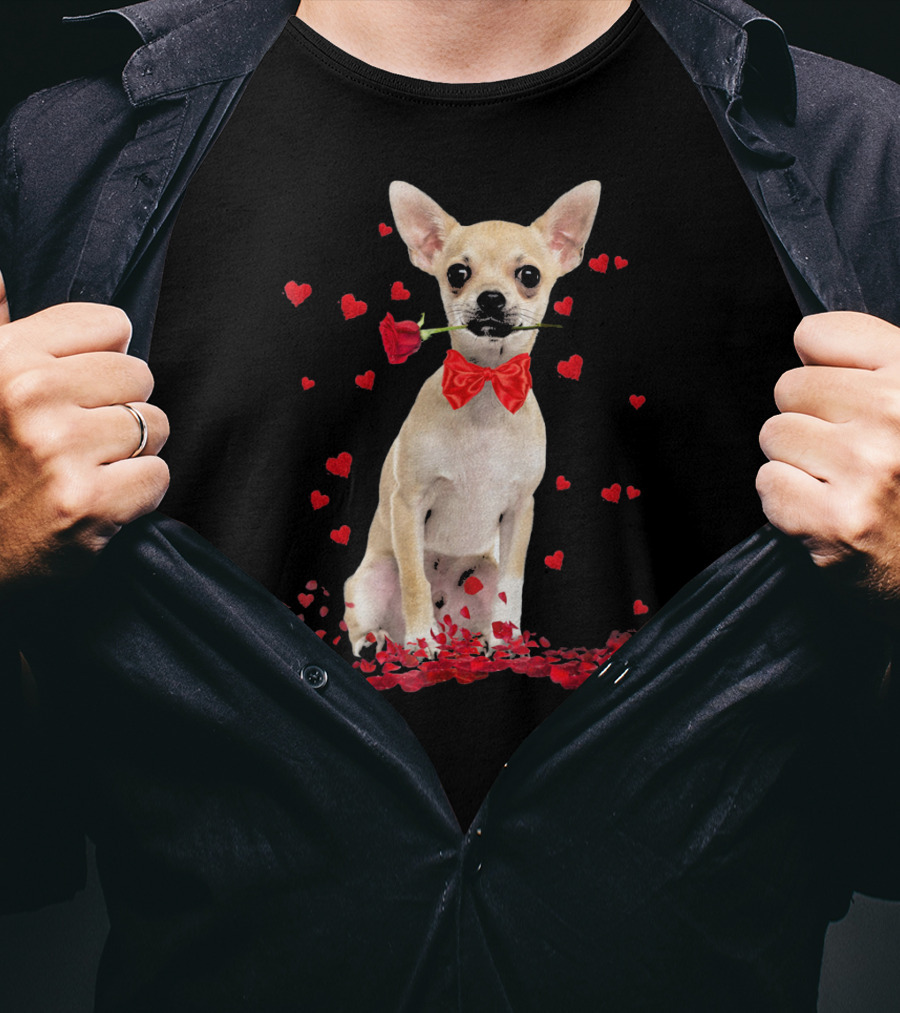 Chihuahua Valentine's Day Rose And Hearts T-Shirt