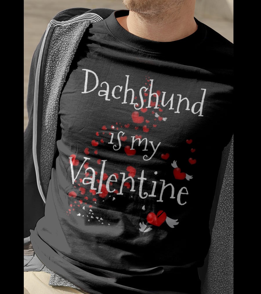 Dachshund Is My Valentine With Hearts And Wings T-Shirt