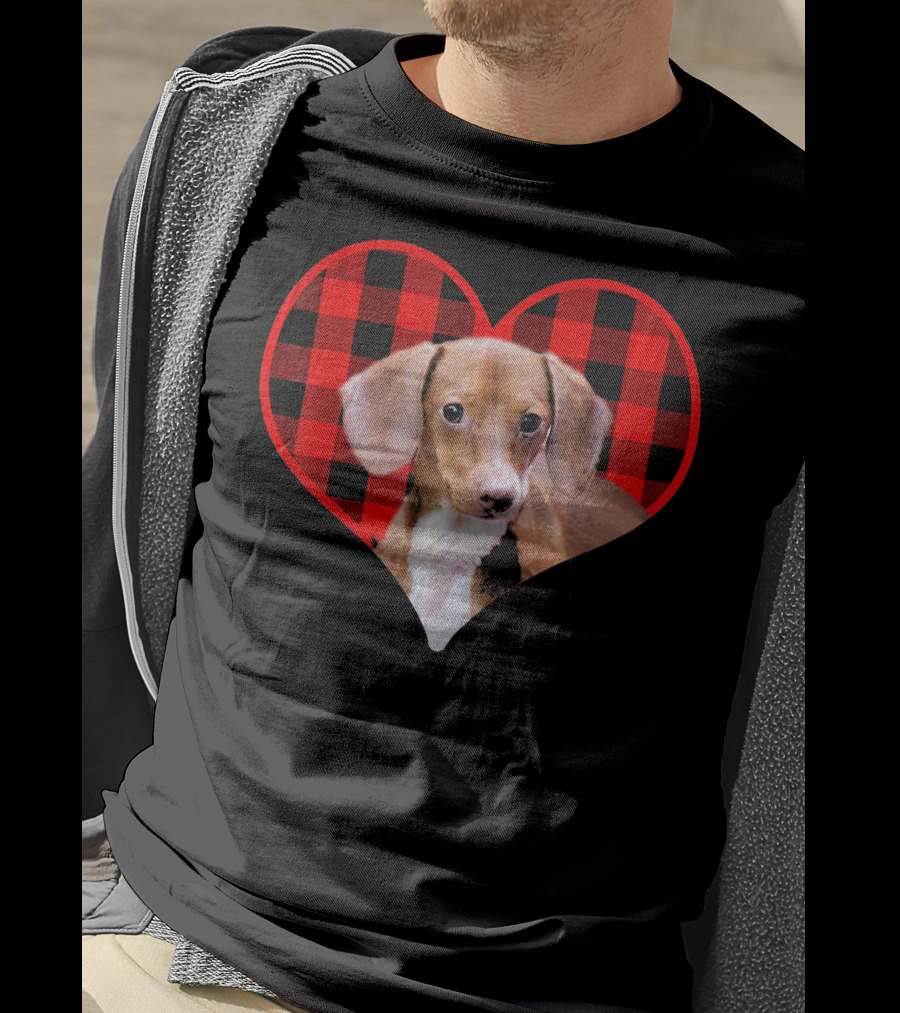 Dachshund In Red Plaid Heart Valentine's Day T-Shirt