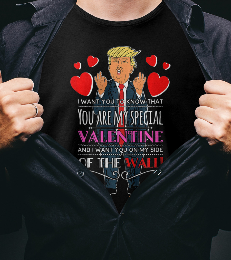 You Are My Special Valentine And I Want You On My Side Of The Wall T-Shirt