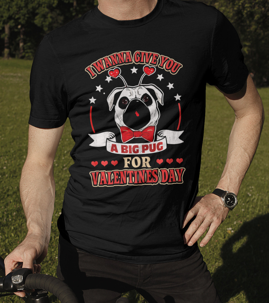 I Wanna Give You A Big Pug For Valentine's Day T-Shirt