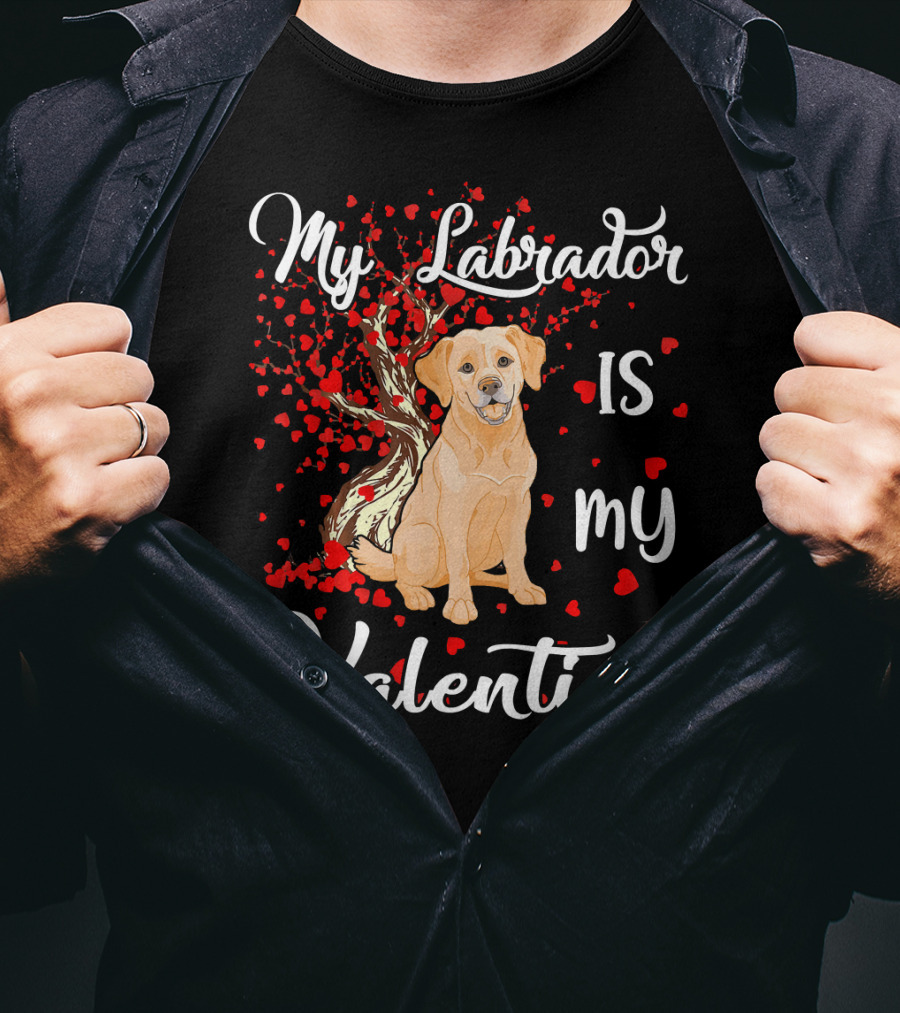 My Labrador Is My Valentine T-Shirt