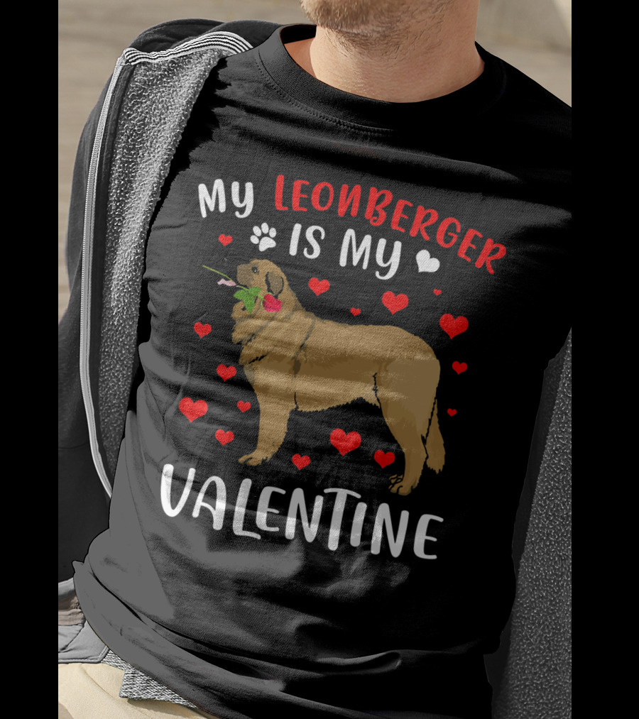 My Leonberger Is My Valentine With Hearts And Rose T-Shirt