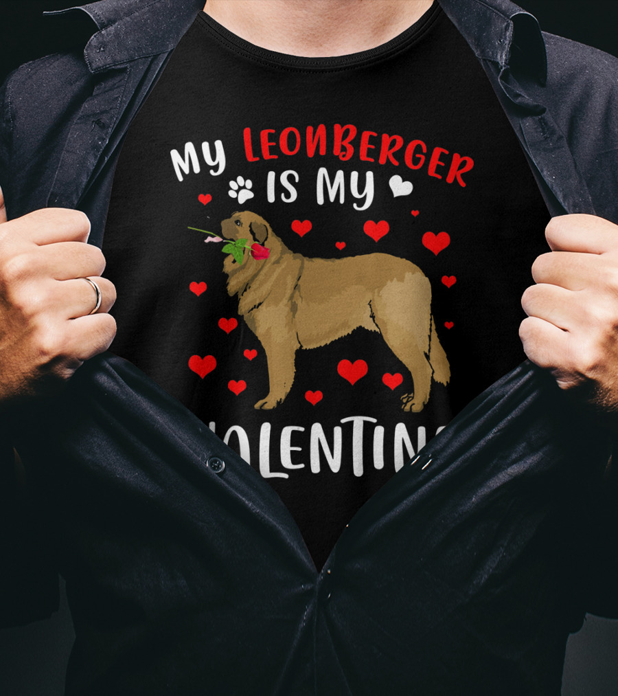 My Leonberger Is My Valentine With Hearts And Rose T-Shirt