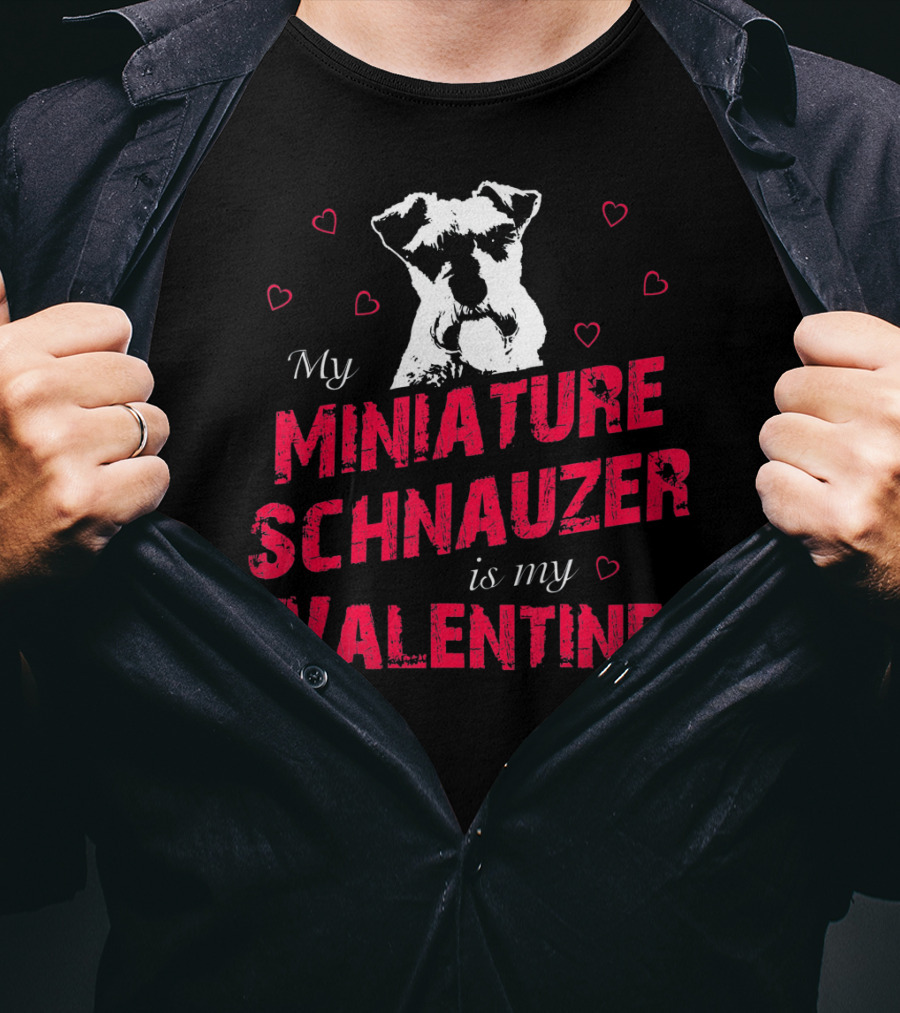My Miniature Schnauzer Is My Valentine With Hearts T-Shirt