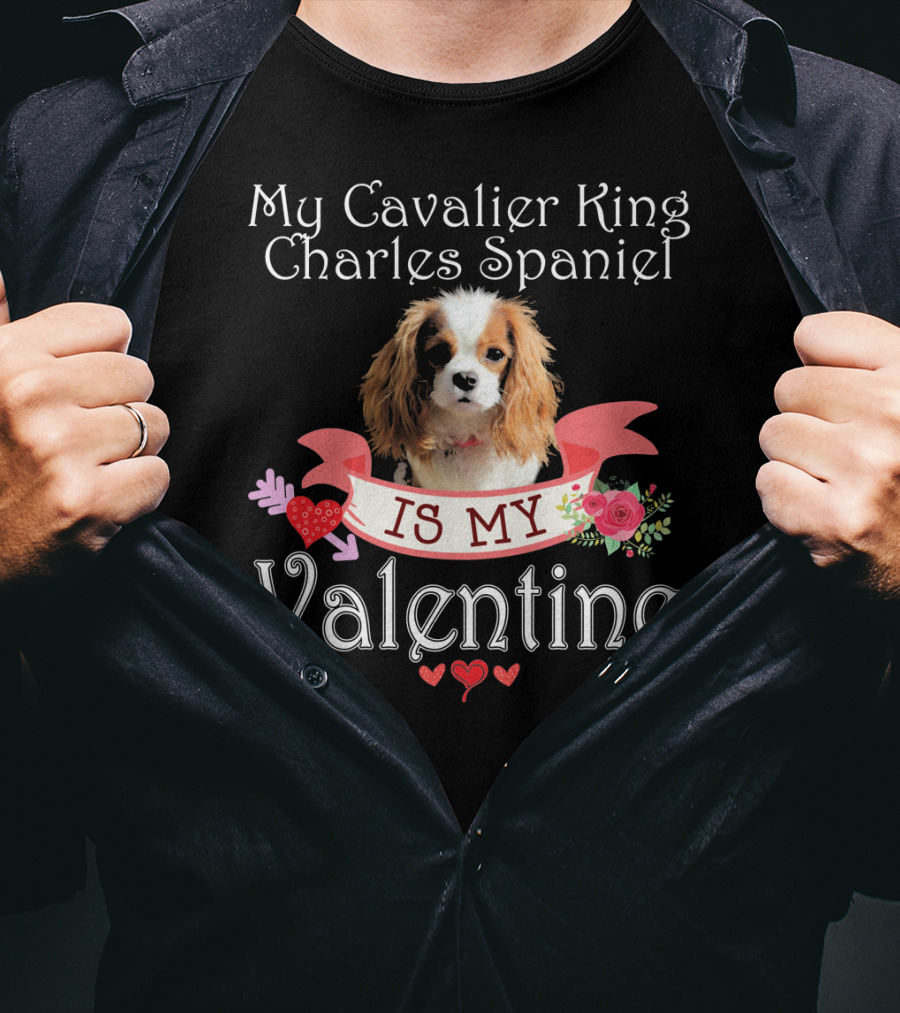My Cavalier King Charles Spaniel Is My Valentine T-Shirt