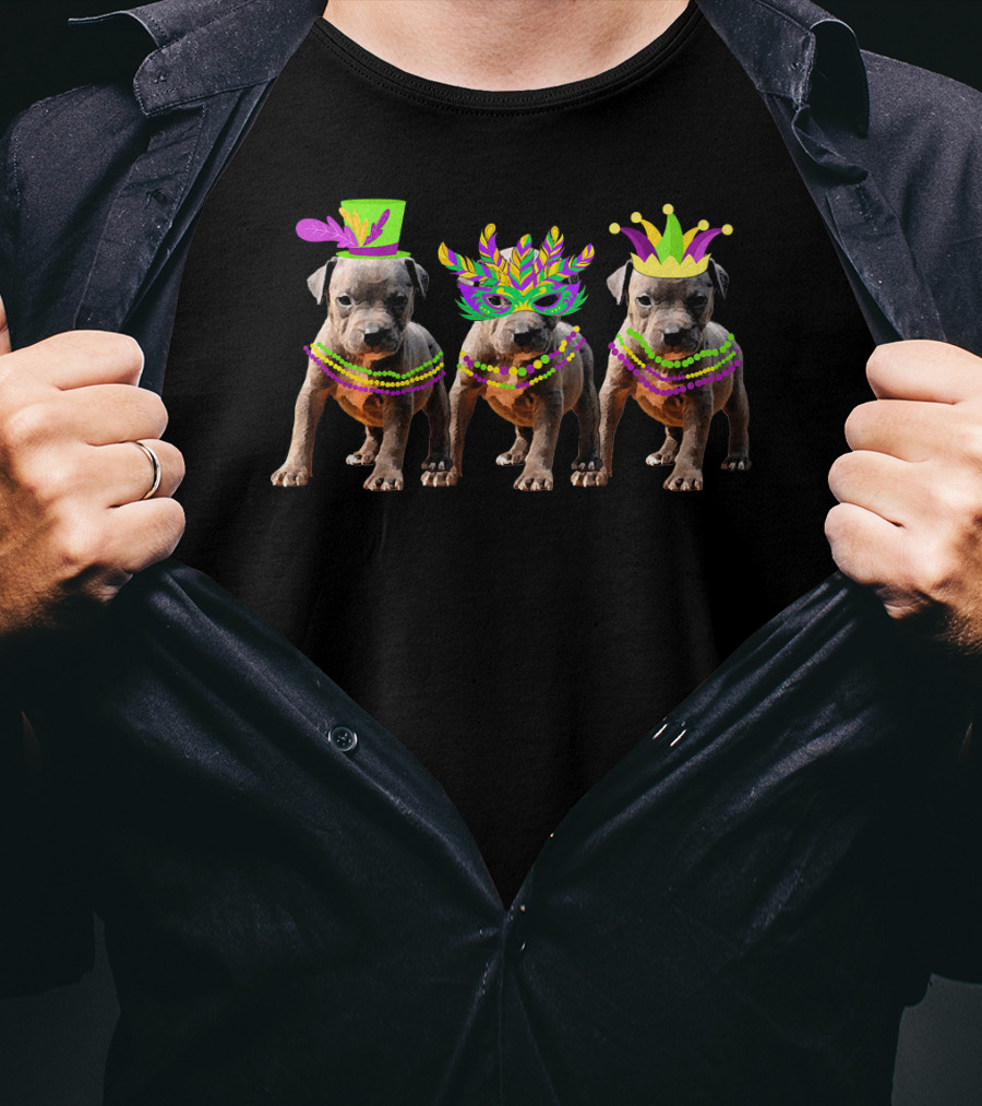 Mardi Gras Pitbull Beads Vintage Costume Trio T-Shirt