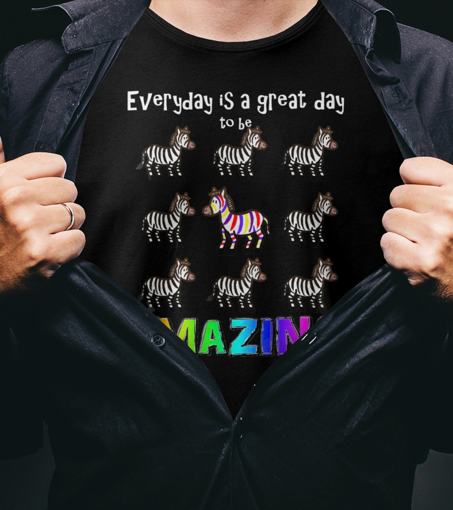 Everyday Is A Great Day To Be Amazing Rainbow Zebra T-Shirt