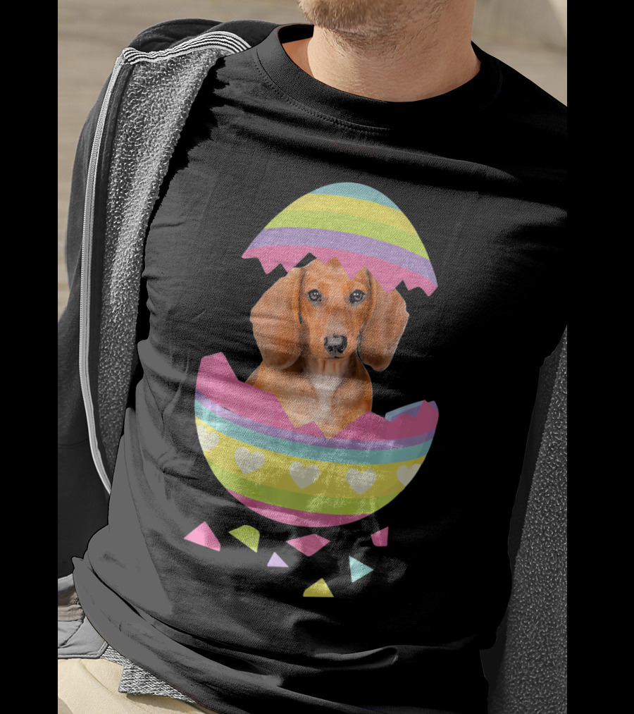Dachshund In Colorful Easter Egg With Heart Stripes T-Shirt