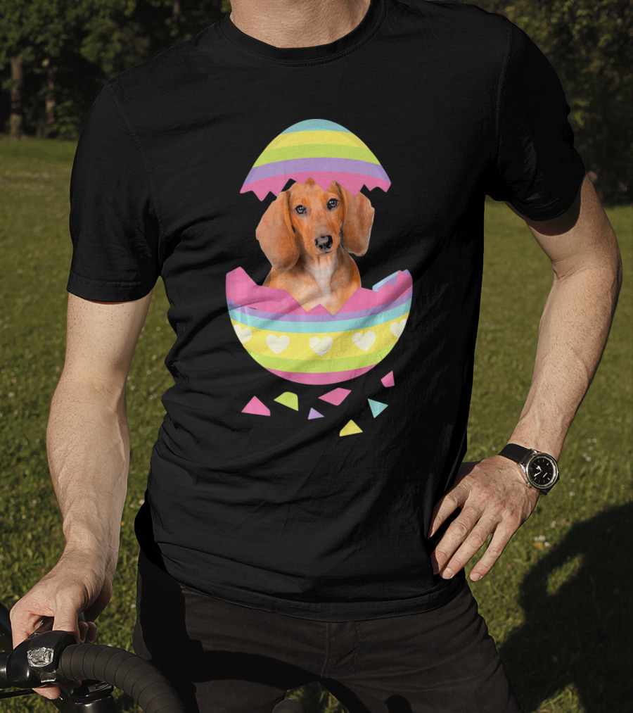 Dachshund In Colorful Easter Egg With Heart Stripes T-Shirt