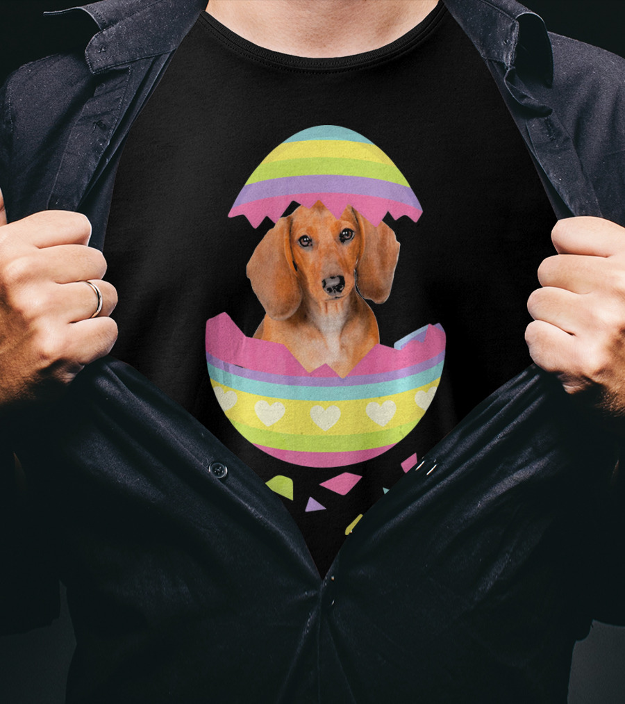 Dachshund In Colorful Easter Egg With Heart Stripes T-Shirt