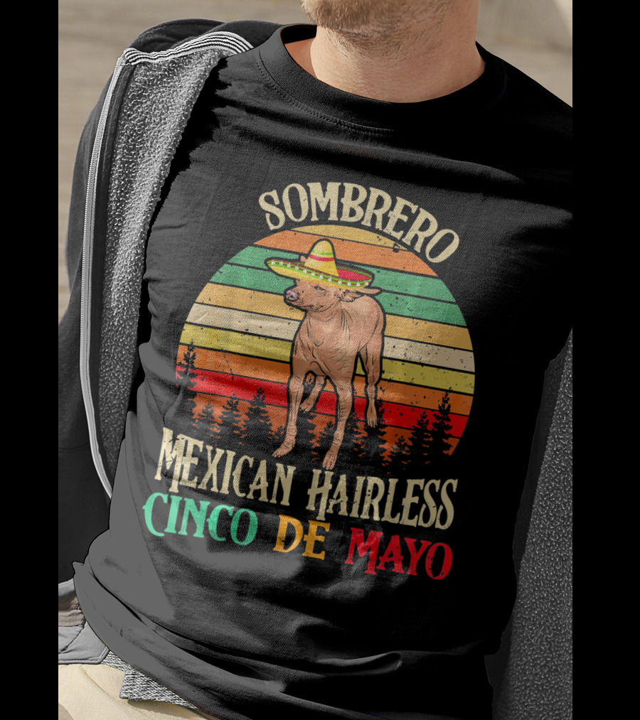 Sombrero Mexican Hairless Cinco De Mayo Vintage Sunset T-Shirt