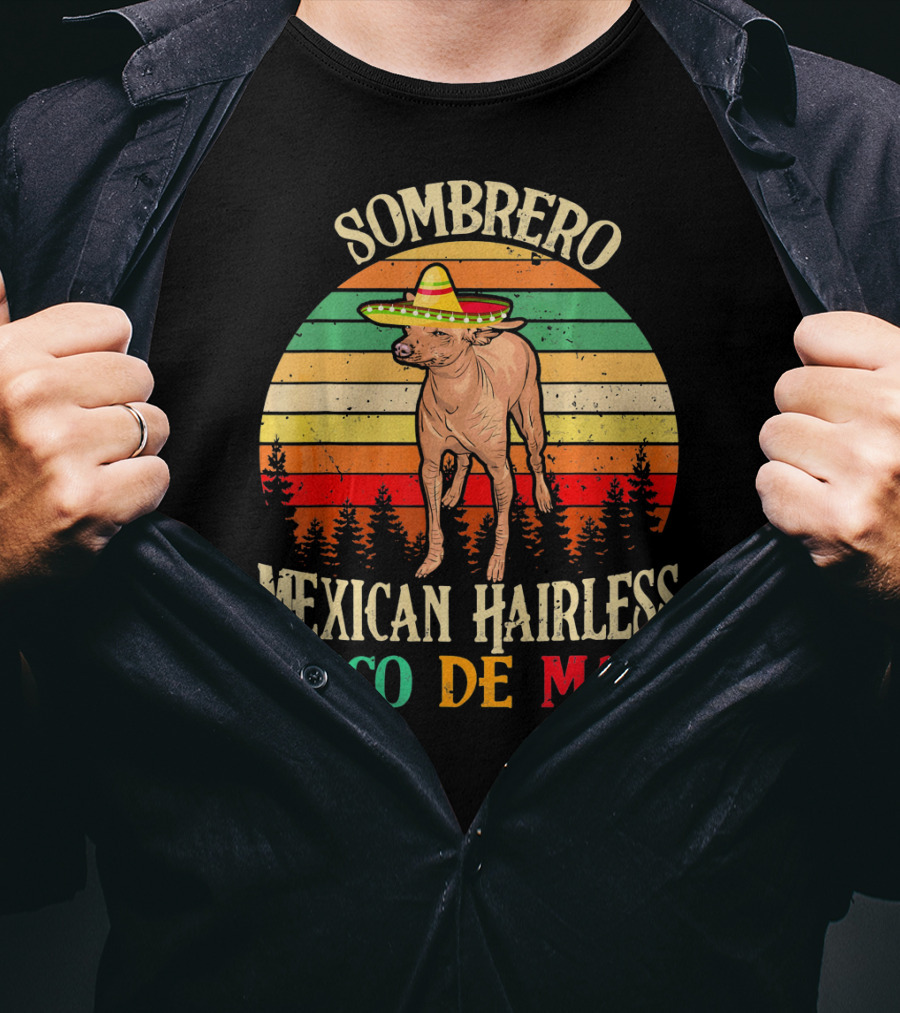 Sombrero Mexican Hairless Cinco De Mayo Vintage Sunset T-Shirt