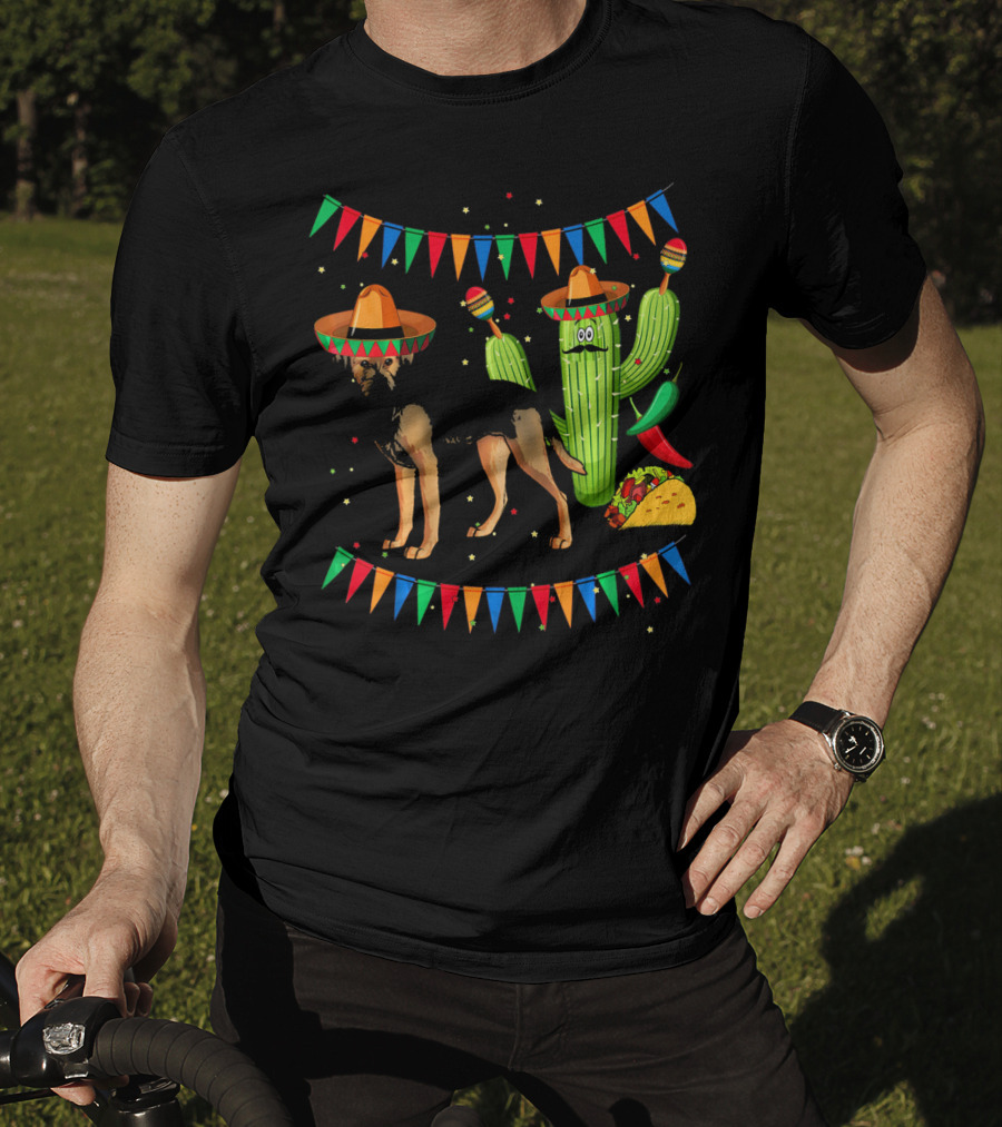 Sombrero Border Terrier Dog Mexico Cinco De Mayo Cactus Taco Fiesta T-Shirt