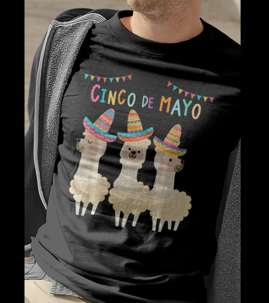 No ProbLlama Cinco De Mayo Llamas In Sombreros T-Shirt
