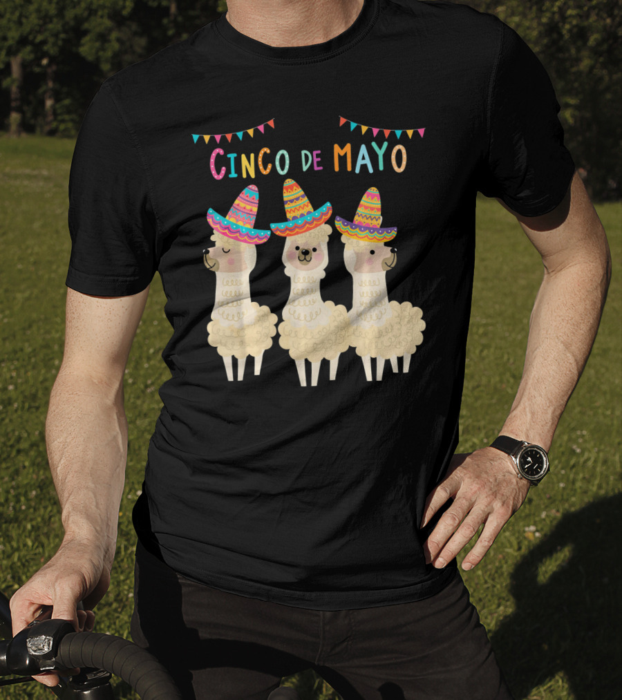 No ProbLlama Cinco De Mayo Llamas In Sombreros T-Shirt