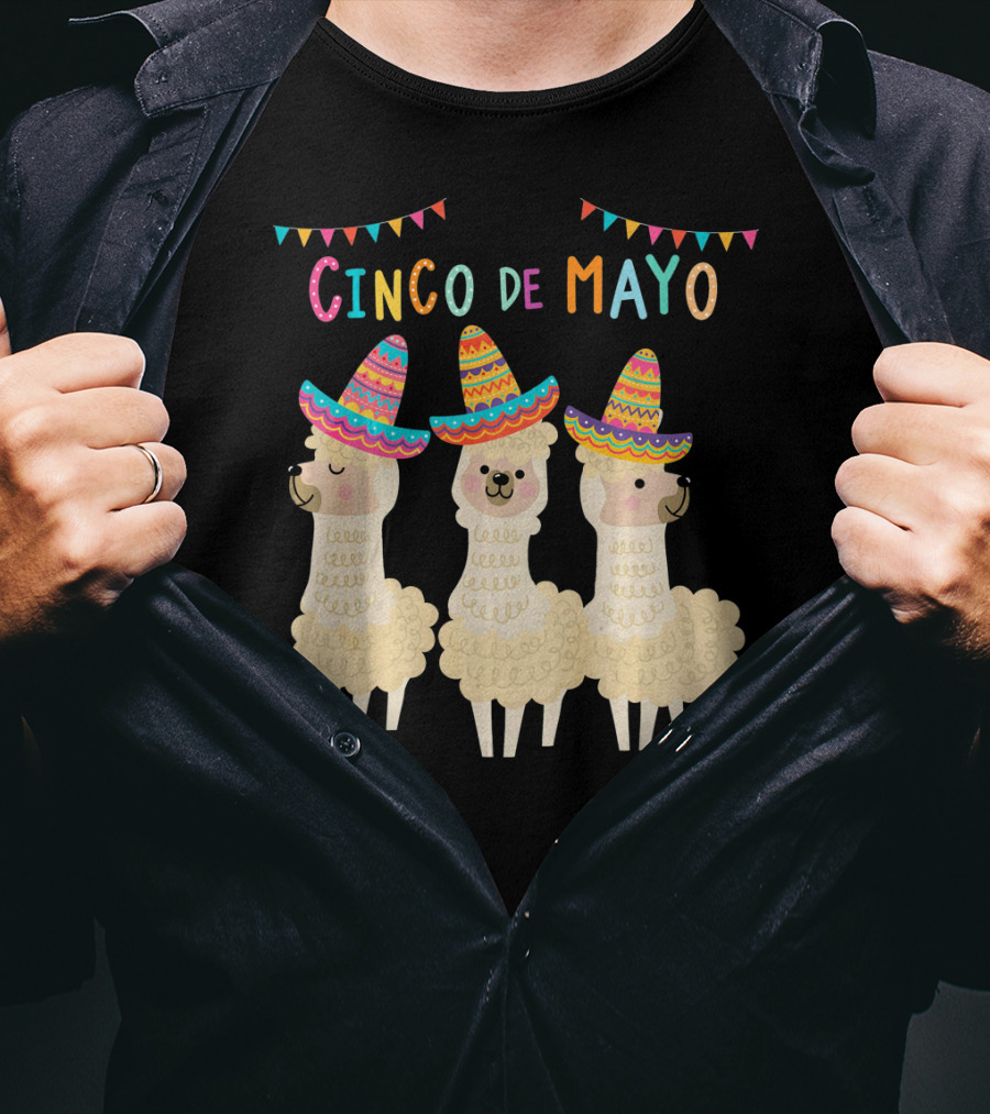 No ProbLlama Cinco De Mayo Llamas In Sombreros T-Shirt