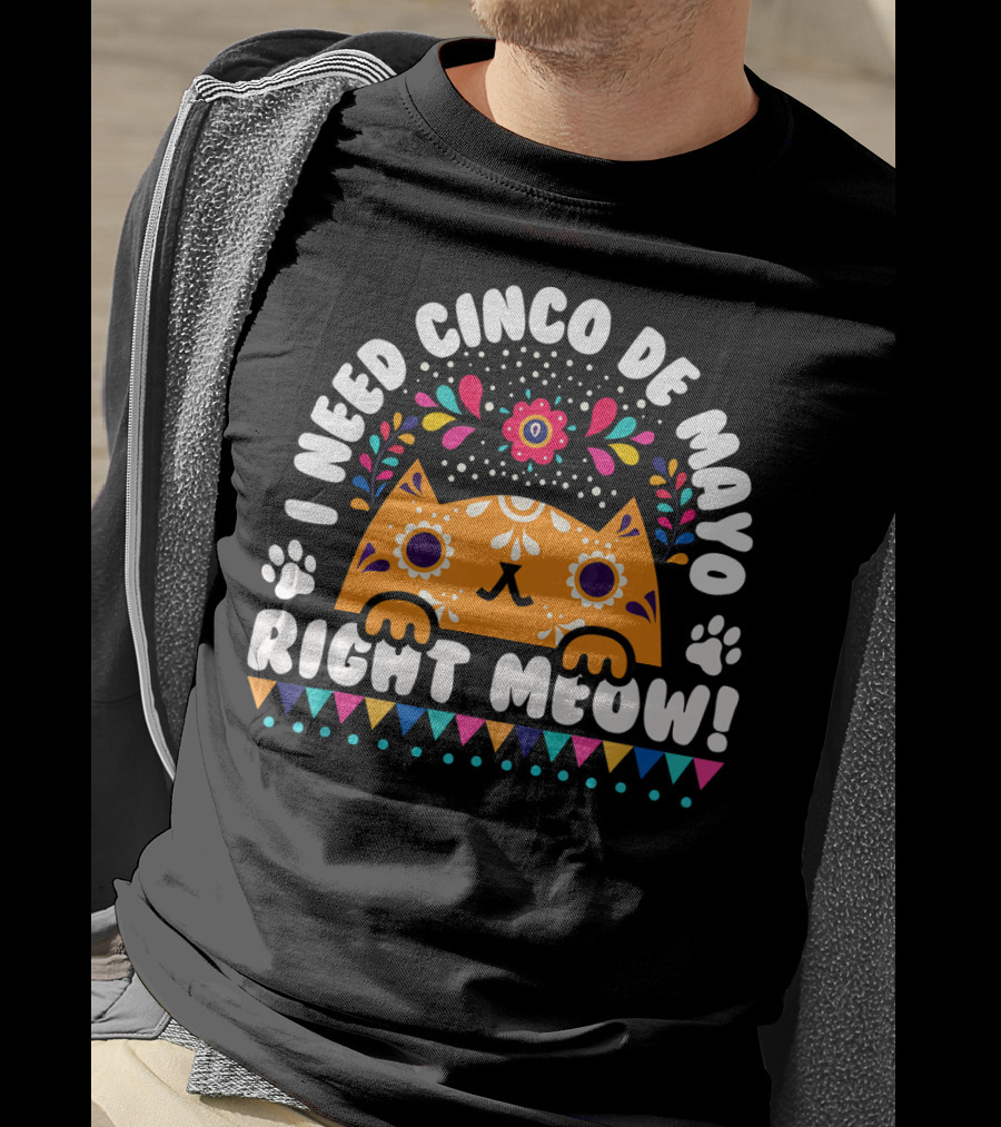 I Need Cinco De Mayo Right Meow Orange Cat Mexican Fiesta T-Shirt
