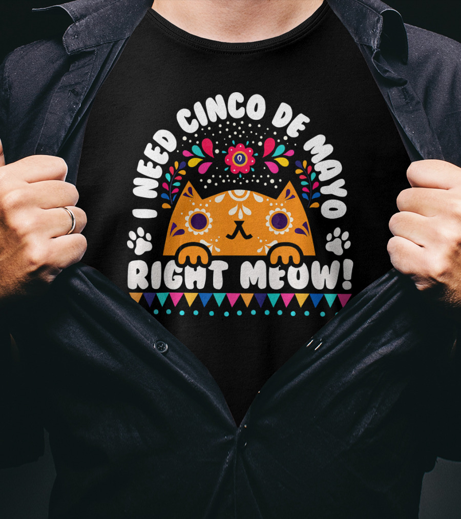 I Need Cinco De Mayo Right Meow Orange Cat Mexican Fiesta T-Shirt