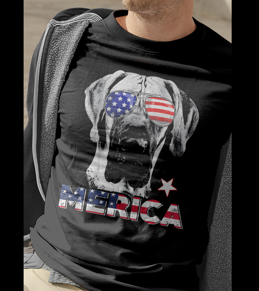 Great Dane 'Merica American Flag Sunglass Star T-Shirt