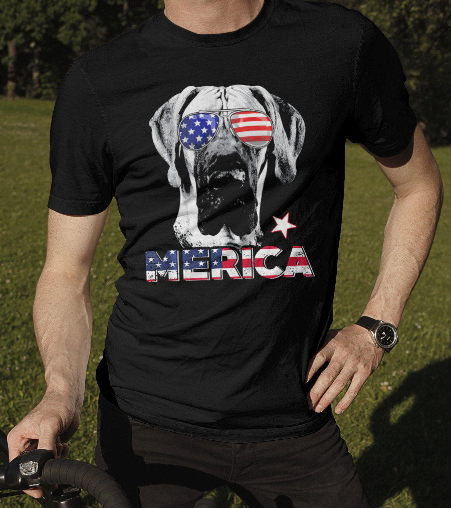 Great Dane 'Merica American Flag Sunglass Star T-Shirt