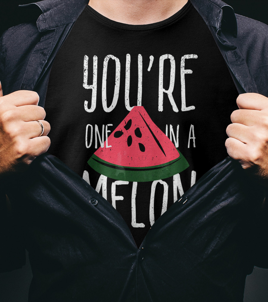 You're One In A Melon Watermelon Slice Fun Playful Pun T-Shirt