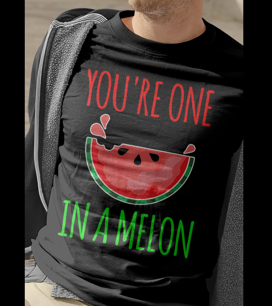 You're One In A Melon Pun Summer Watermelon T-Shirt