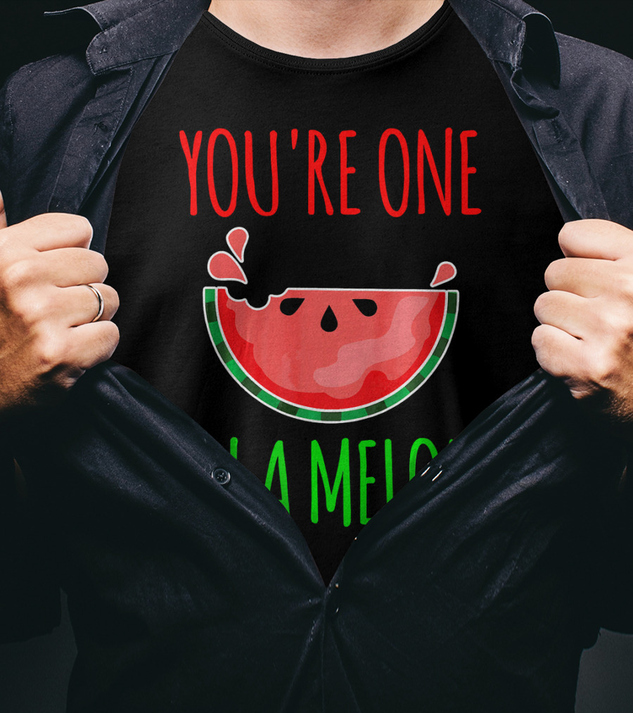 You're One In A Melon Pun Summer Watermelon T-Shirt