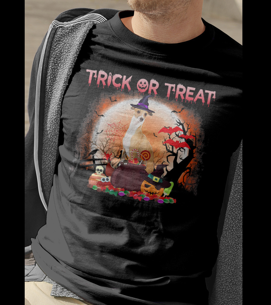 Trick Or Treat Italian Greyhound Halloween Magic Moonlit Scene T-Shirt
