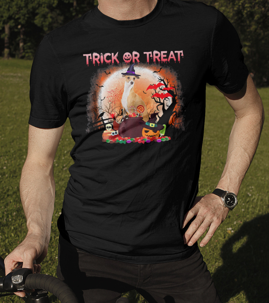 Trick Or Treat Italian Greyhound Halloween Magic Moonlit Scene T-Shirt