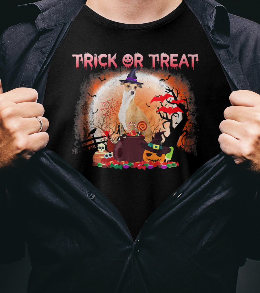 Trick Or Treat Italian Greyhound Halloween Magic Moonlit Scene T-Shirt
