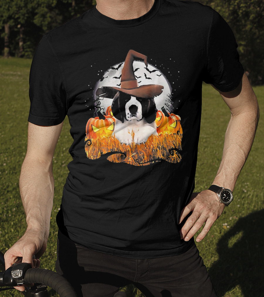 Cute Saint Bernard Dog Witch With Pumpkins And Full Moon T-Shirt