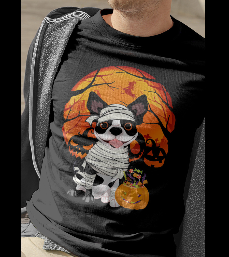 Halloween Kids Boston Terrier Mummy With Pumpkin And Witch T-Shirt