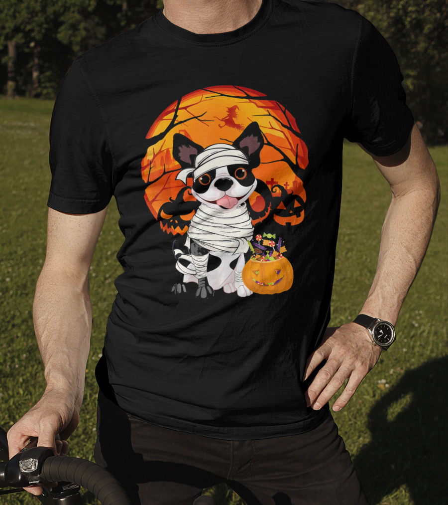 Halloween Kids Boston Terrier Mummy With Pumpkin And Witch T-Shirt