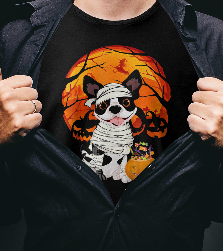 Halloween Kids Boston Terrier Mummy With Pumpkin And Witch T-Shirt