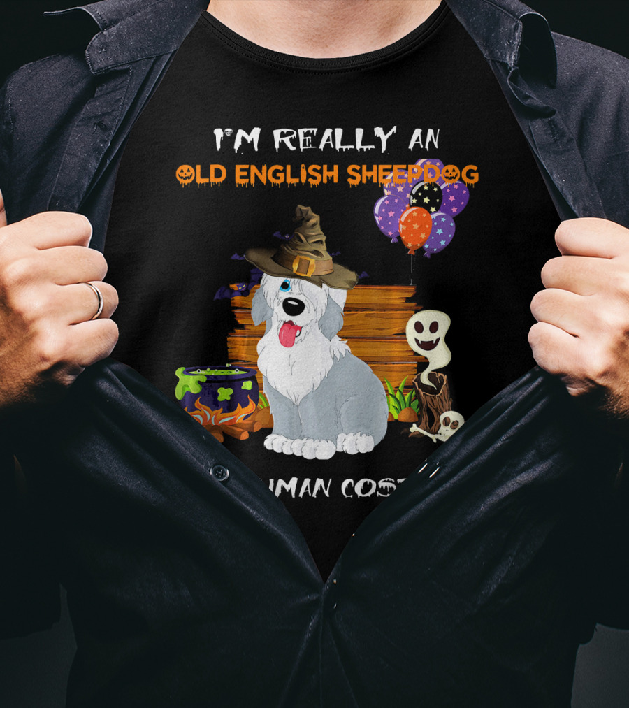 I'm Really An Old English Sheepdog In A Human Costume T-Shirt