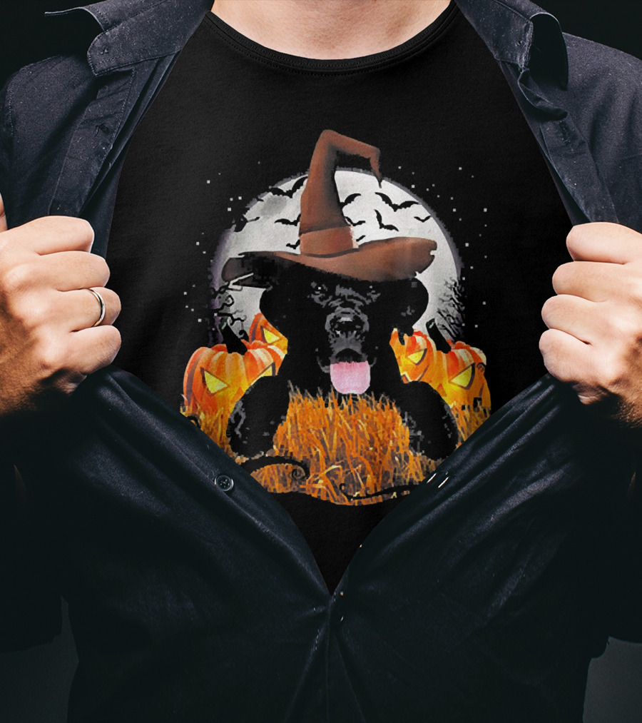 Labrador Halloween Cute Dog Witch With Pumpkin And Moon T-Shirt
