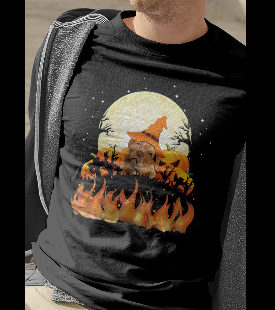 Dogue De Bordeaux Dog Lovers Halloween Full Moon Witch Hat Pumpkin Fire Scene T-Shirt
