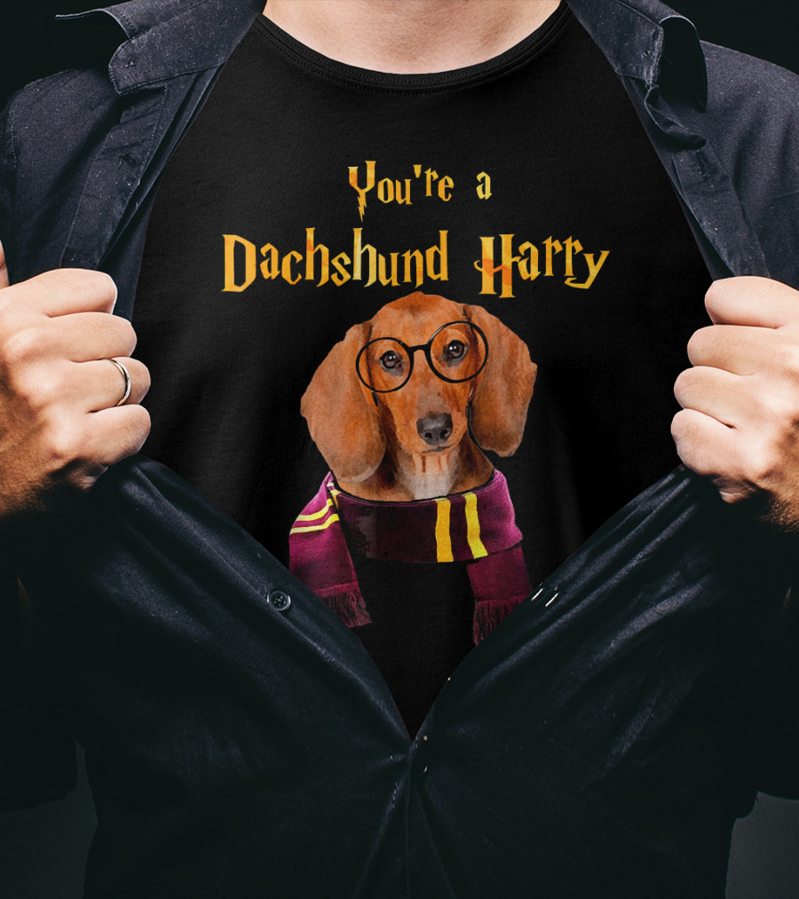 You're A Dachshund Harry T-Shirt