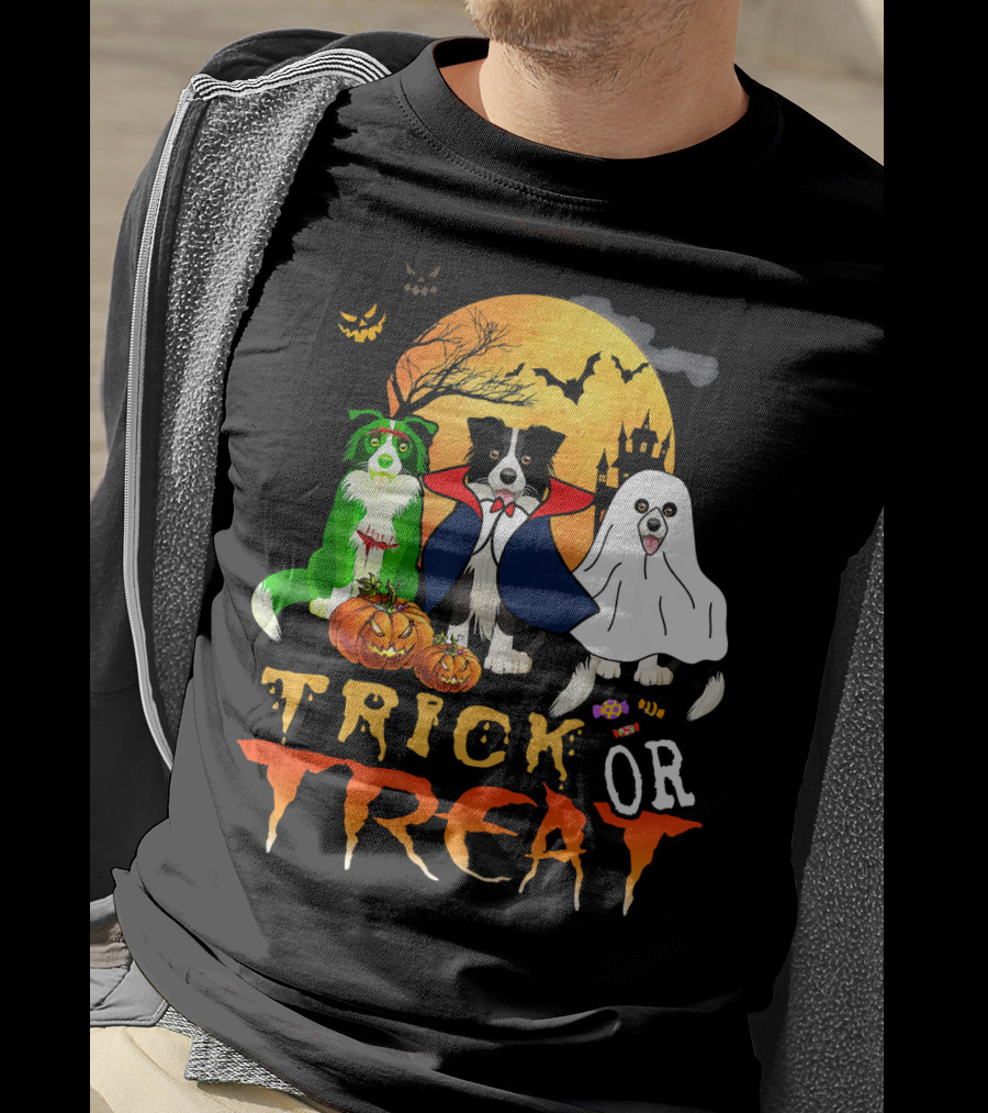 Trick Or Treat Halloween Border Collie Costumes Pumpkins Haunted Moon T-Shirt