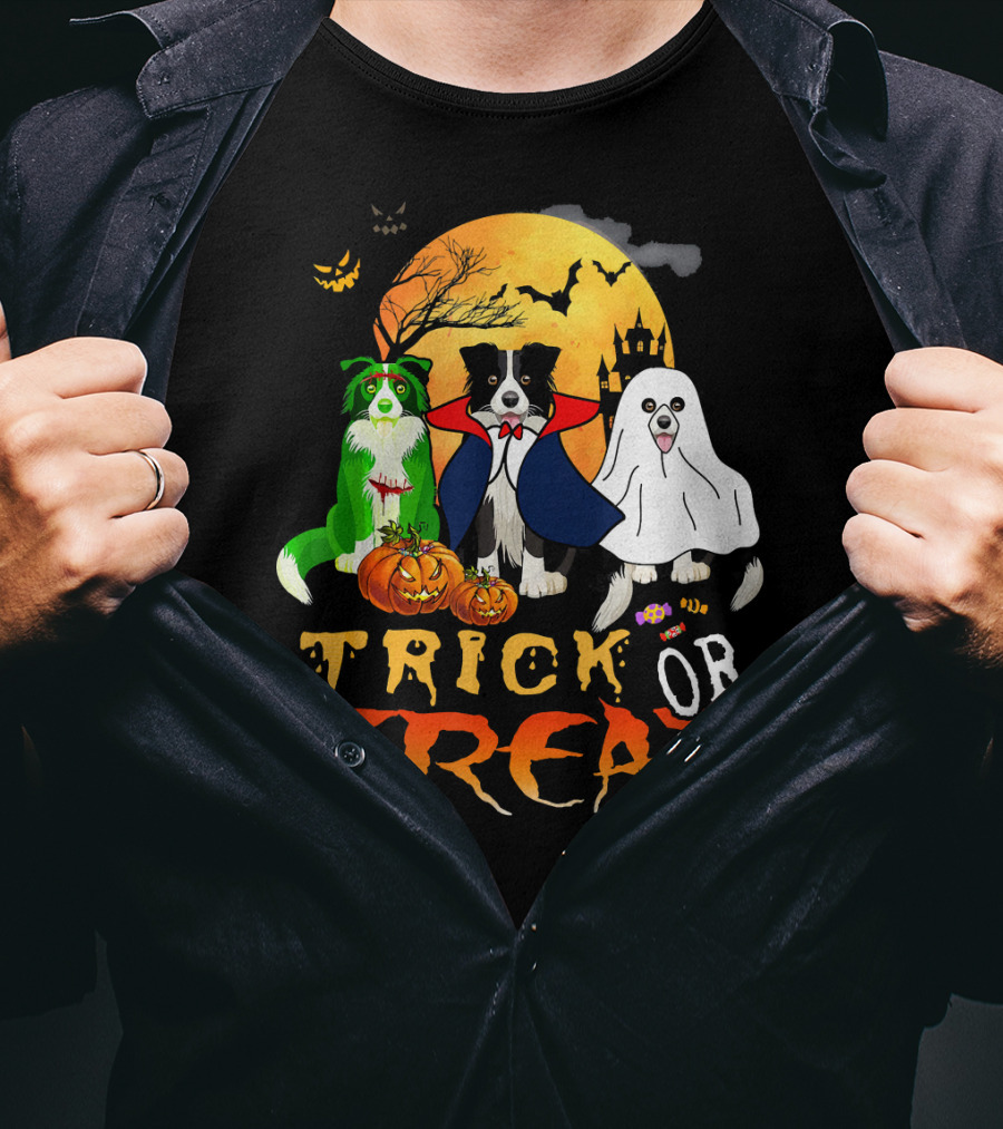 Trick Or Treat Halloween Border Collie Costumes Pumpkins Haunted Moon T-Shirt