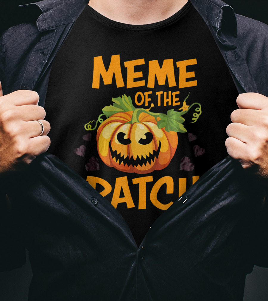 Meme Of The Patch Pumpkin With Leaves And Heart Details T-Shirt