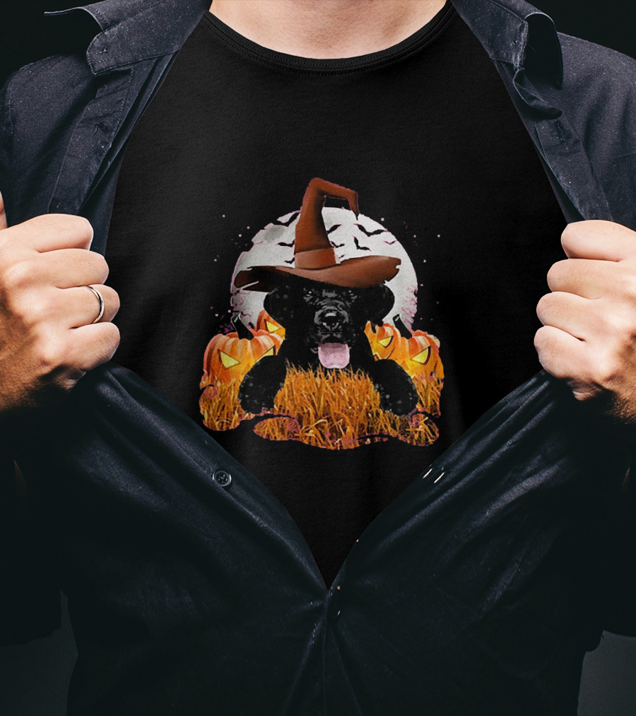 Happy Halloween Labrador Retriever Costume With Witch Hat And Pumpkins T-Shirt